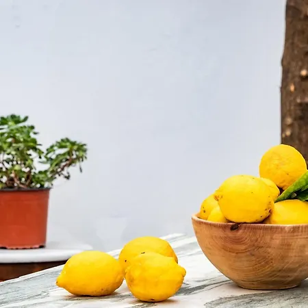 Lemon Garden House Holiday home